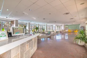 Hotel LIVVO Koala Garden - Réception