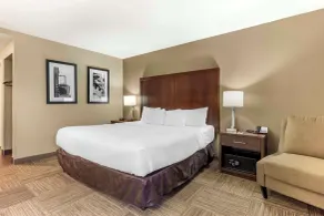 Comfort Inn & Suites Sea-Tac Airport - Chambre