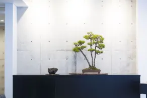 Namari Onsen Kokoro No Toki Jusangatsu - Hall