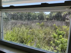 Neptune's Grotto Old Florida Adventure Retreat - Ausblick vom Zimmer