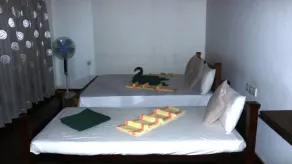 Birds Paradise Hotel - Chambre