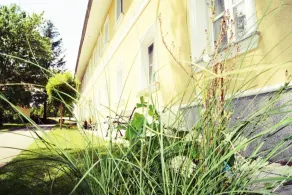 Grafhaidergut - Urlaub am Bauernhof - Auszeit am Land - Garten