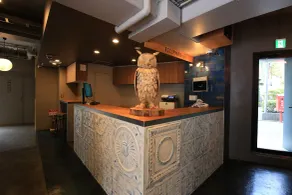 Wise Owl Hostels Shibuya - Réception
