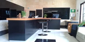 Soleil Inn Atlixco - Reception