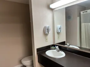 Viking Arms Inn - Ludington - Bathroom