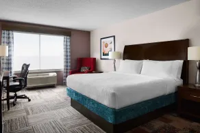 Hilton Garden Inn Denver South Park Meadows Area - Chambre