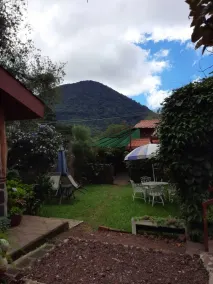 1961 Los Naranjos Hostal - View from room
