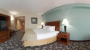 Holiday Inn Express Apex - Raleigh by IHG - Chambre