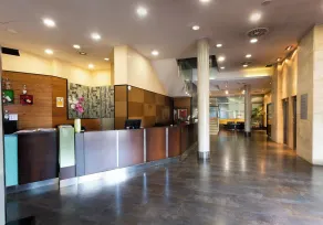 Sercotel Las Artes Pinto - Réception