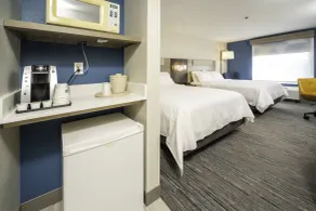 Holiday Inn Express and Suites Atlanta-Johns Creek by IHG - Chambre