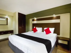 Hotel La Fuente, Saltillo - Room