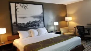 Super 8 by Wyndham St. Cloud - Chambre