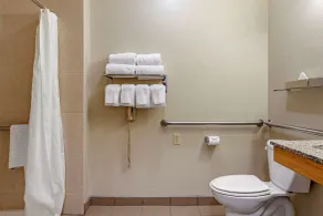 Comfort Inn & Suites Paw Paw - Bad