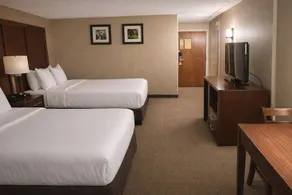 Comfort Inn Farmington Hills - Novi-Royal oaks-Southfield-Detroit Northwest - Chambre