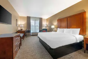 Comfort Inn & Suites Tavares North - Room
