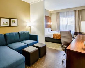 Comfort Suites Georgetown - Chambre
