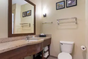 Comfort Suites Saraland - North Mobile - Chambre