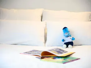 Novotel Lille Centre Grand Place - Rom
