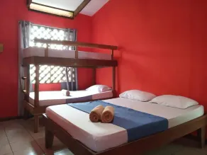 Tortuguero Adventures Beach House - Chambre