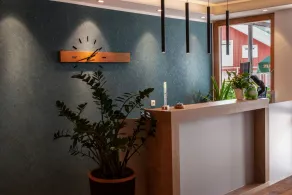 Village Hotel Bayerischer Wald - Receção