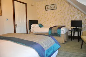 Llety Teifi Guest House - Chambre