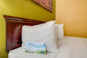 Days Inn by Wyndham Nashville Saint Thomas West Hospital - Værelse