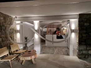 Apiro Mykonos - Réception