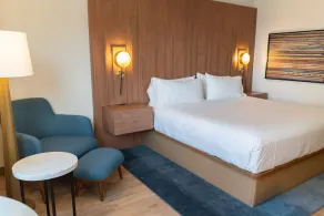 Hotel Indigo Detroit Downtown by IHG - Vue de la chambre