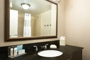 Hampton Inn & Suites Birmingham East Irondale - Badezimmer
