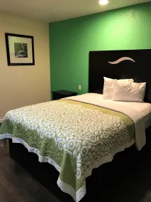 Budget Inn - Room