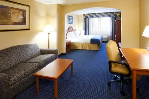 Holiday Inn Express Syracuse Airport by IHG - Chambre