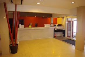 Hakuba Gondola Hotel - Lobby
