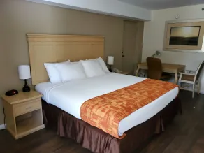 THE PARAGON of Golden Isles - Chambre