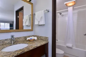Best Western Naperville Inn - Salle de bain