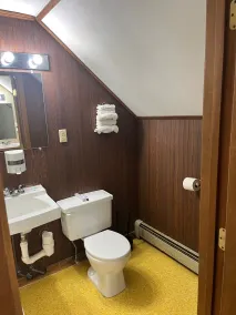 Bingham Motor Inn - Badezimmer