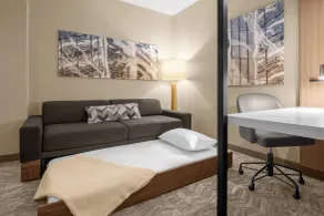 SpringHill Suites by Marriott Jackson - Chambre