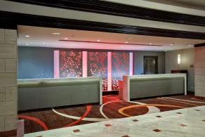 Hilton Rosemont Chicago O'Hare - Réception