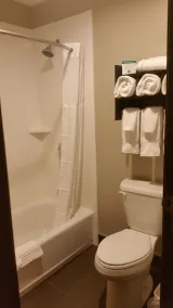 Comfort Inn & Suites Ludington near US-10 - Salle de bain