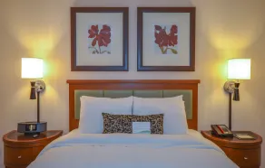 San Carlos Hotel - Chambre