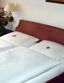 Hotel Alfa - Room