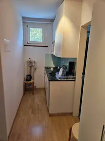 Parkareal Davos Apartment - Privat køkken