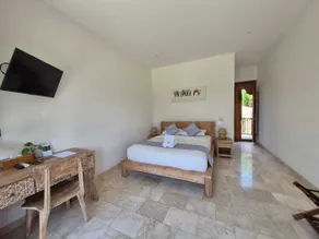 Bali View Ubud Hotel - Værelse