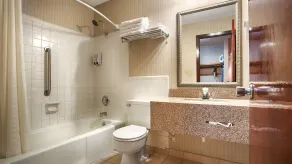 Americinn by Wyndham Appleton Downtown - Salle de bain