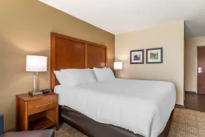 Comfort Inn & Suites Waller - Chambre