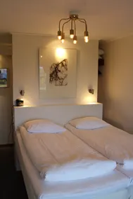 Green Hotel - Room