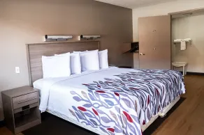 Red Roof Inn Rochester - Henrietta - Zimmer