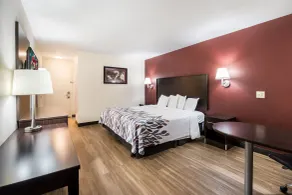 Red Roof Inn Murfreesboro - Room