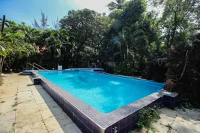 OYO 10401 Home 4BHK Villa Assagaon - Pool
