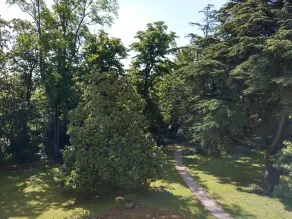 Maison d'hôtes Le Parc - Vista dalla camera