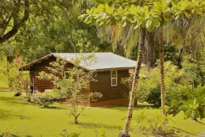 The Log Cab-Inn - View from room